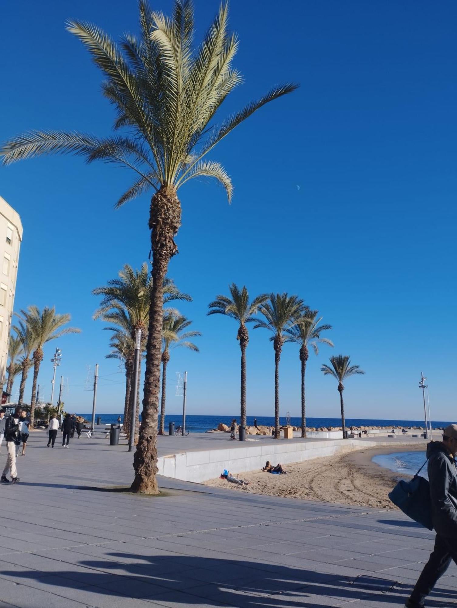 Просторная Квартира Рядом С Морем В Хорошем Районе Torrevieja Luaran gambar